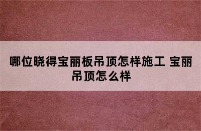 哪位晓得宝丽板吊顶怎样施工 宝丽吊顶怎么样